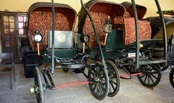 Jaipur City Palace Bhaggi Khana Museum Has A Collection Of Old Carriages