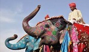 Elephant Festival is a festival celebrated in Jaipur city in Rajasthan state in India