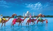 The Golden Triangle Tour of India is a unique way to explore rich Indian traditions and culture.